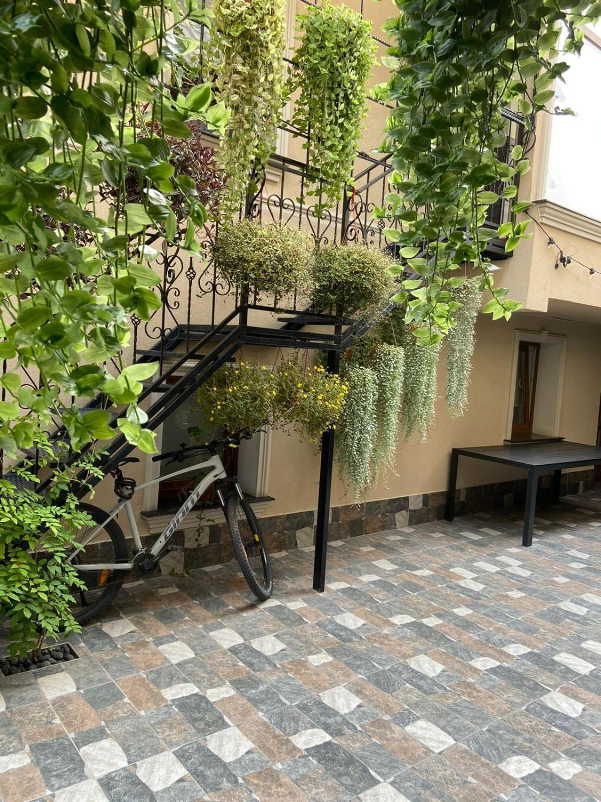 Guest house 77/5 Chisinau