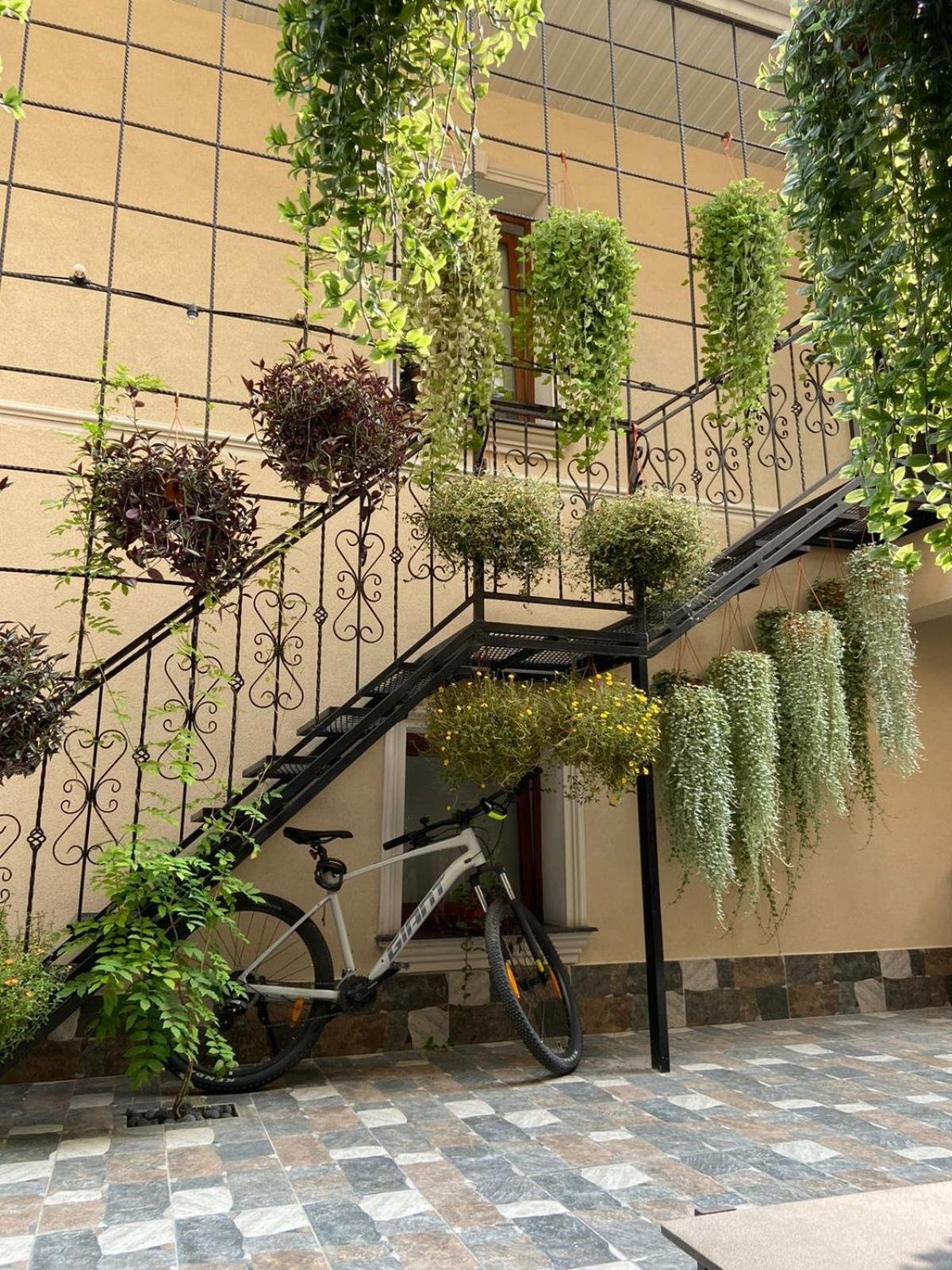Guest house 77/5